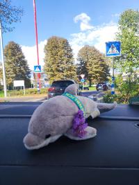 RomwallfahrtFlipper (c) Privat RomwallfahrtFlipper