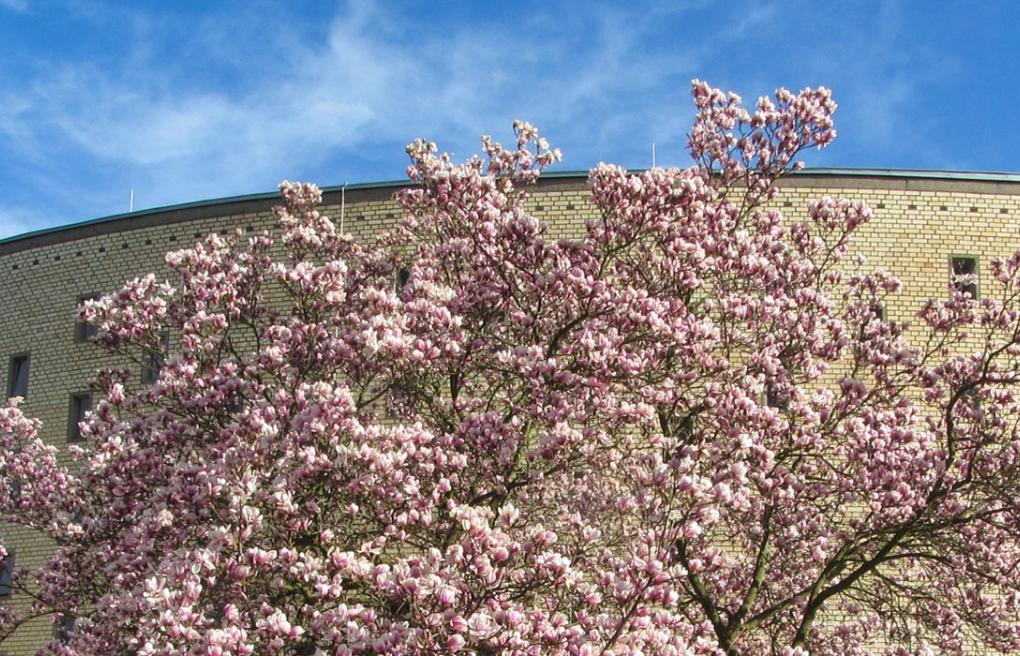 Katholisch in Duisdorf