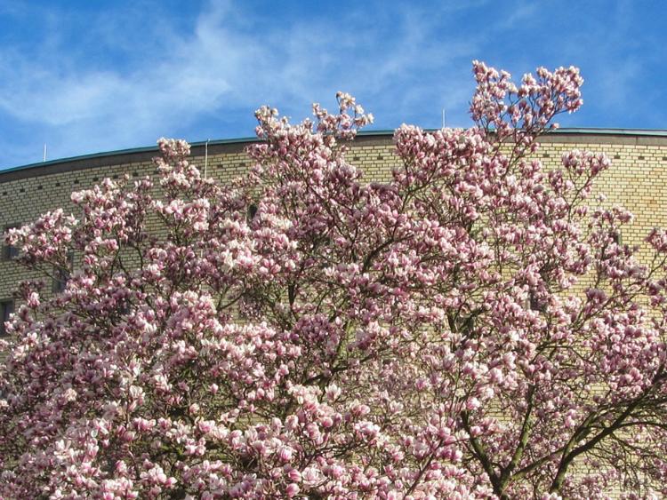 Katholisch in Duisdorf